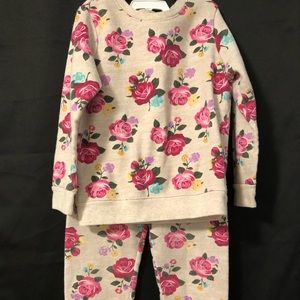 Garanimals Toddler Girl Rose 2-piece Matching Set. Size 4T